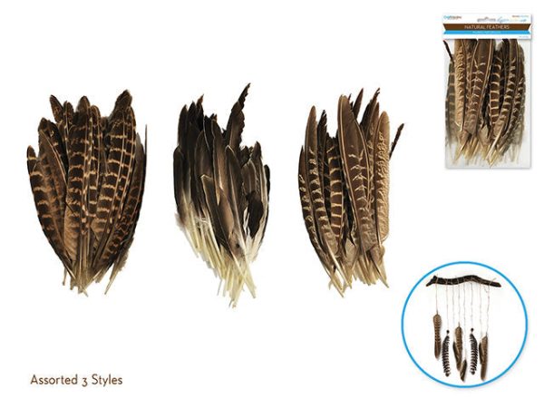 natural feather plume for craft