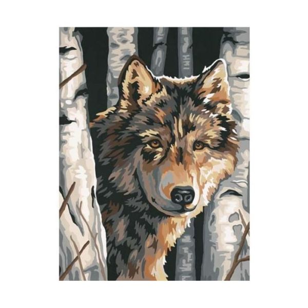 Univers Coloriage Paint by Numbers Wolves and Birches
